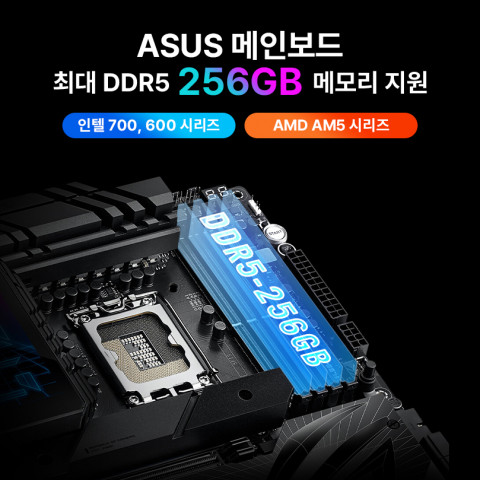 ִ 256GB DDR5 ޸ 